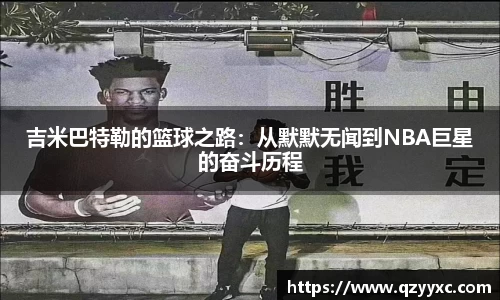 中欧体育